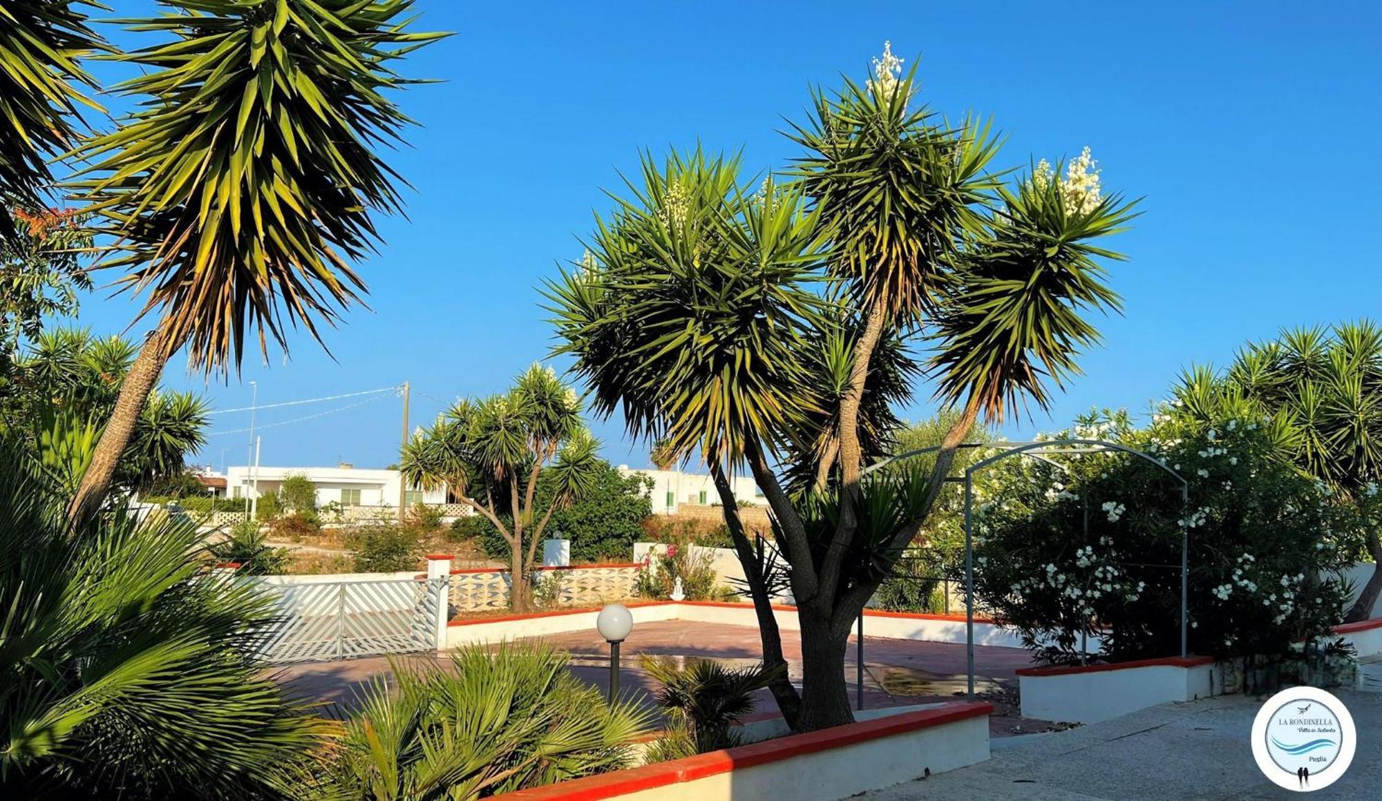 Villa La Rondinella - Torre San Giovanni Eksteriør bilde