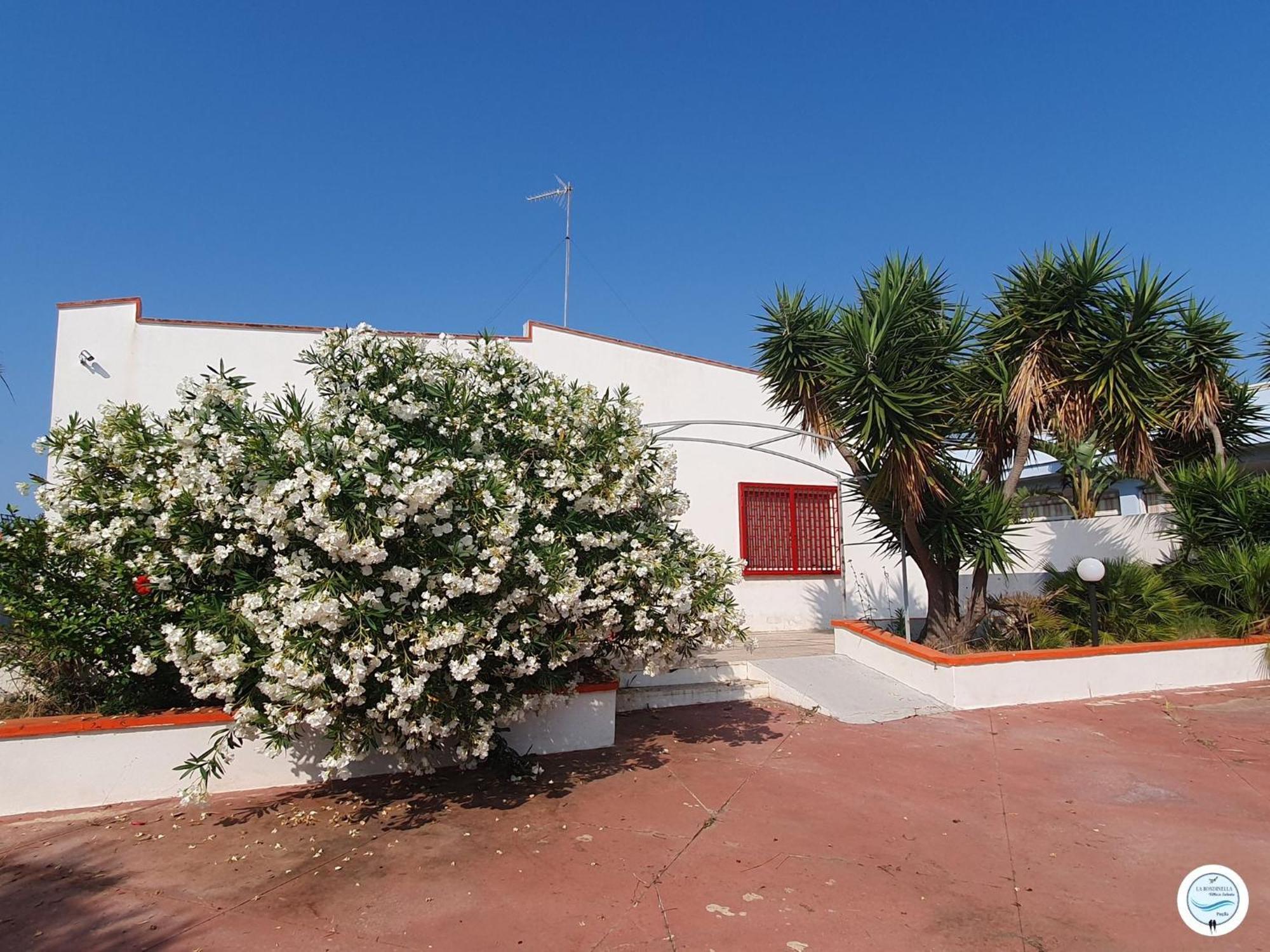 Villa La Rondinella - Torre San Giovanni Eksteriør bilde